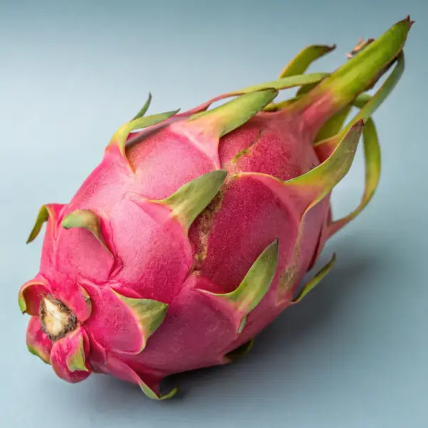 Exotic Dragon Fruit