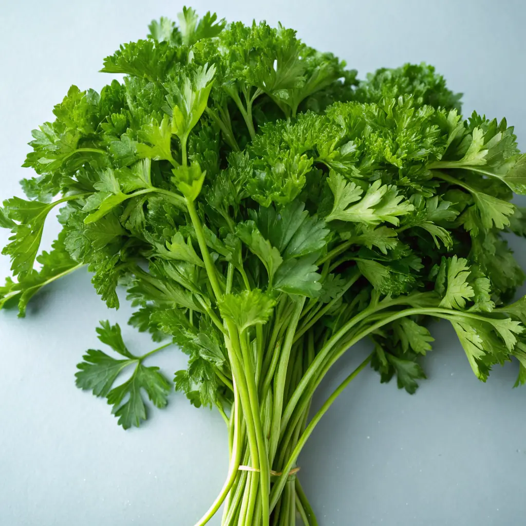 Organic Parsley